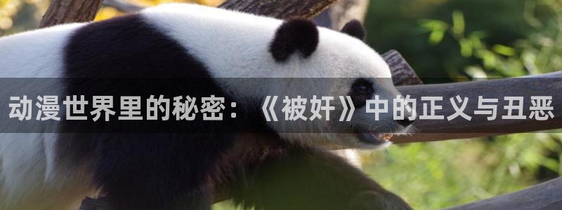 动漫收获之夜樱花动漫