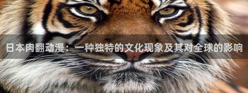 鲁邦三世vs名侦探柯南樱花动漫