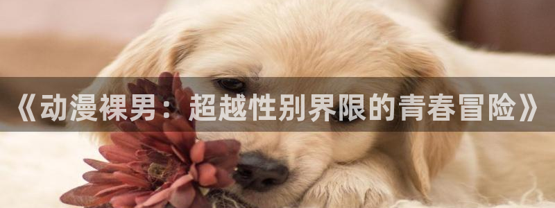 樱花动漫大全