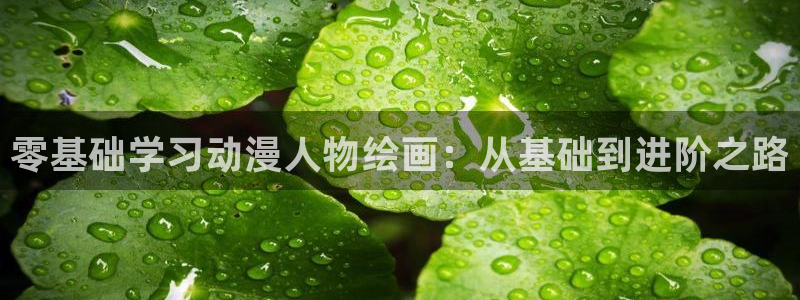 女骑士艾琳动漫樱花动漫：零基础学习动漫人物绘画：从基础到进阶之路