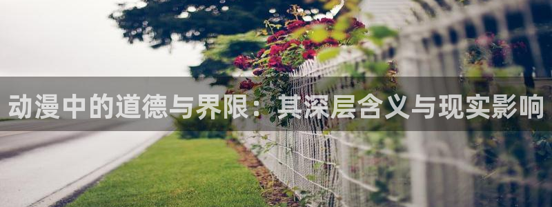从零开始的异世界生活第二季樱花动漫：动漫中的道德与界限：其深层含义与现实影响