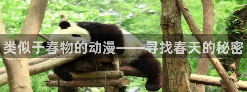 超级恋人第二季樱花动漫